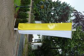 Gelb-Weiße Fahne